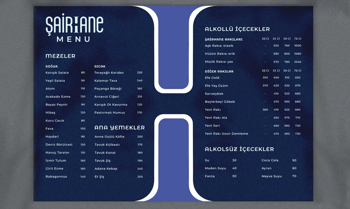Sairhane visual identity and applications